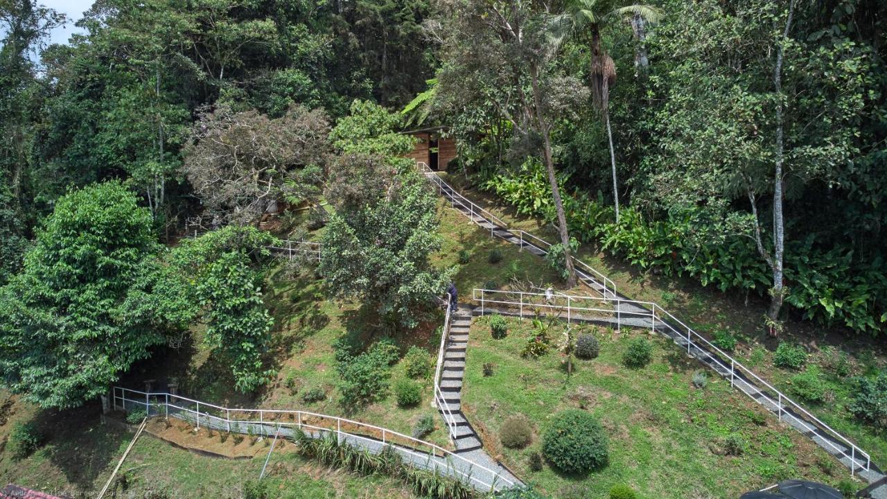 Bosque De Niebla Birding & Nature Кали Екстериор снимка
